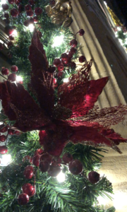 Holiday Red poinsettia